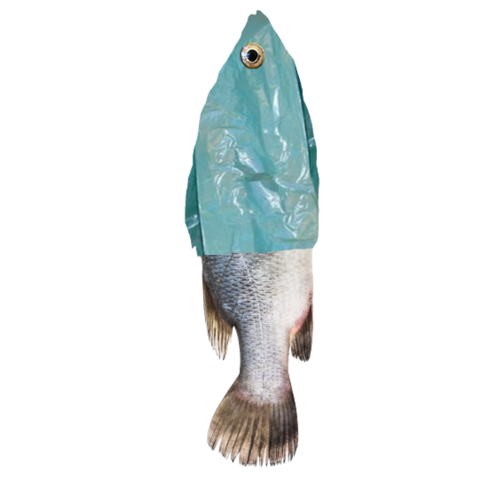 Design sem nome (3).png