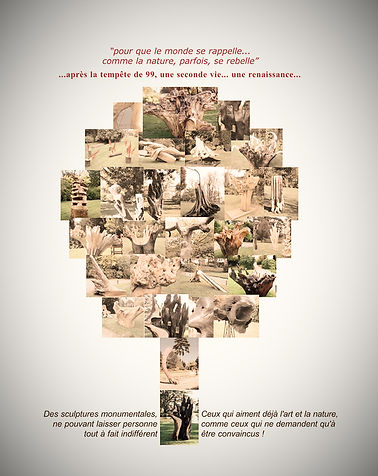 Couverture projet Mémoire de racines