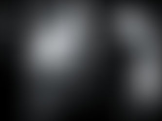 The Fashion Of Shame