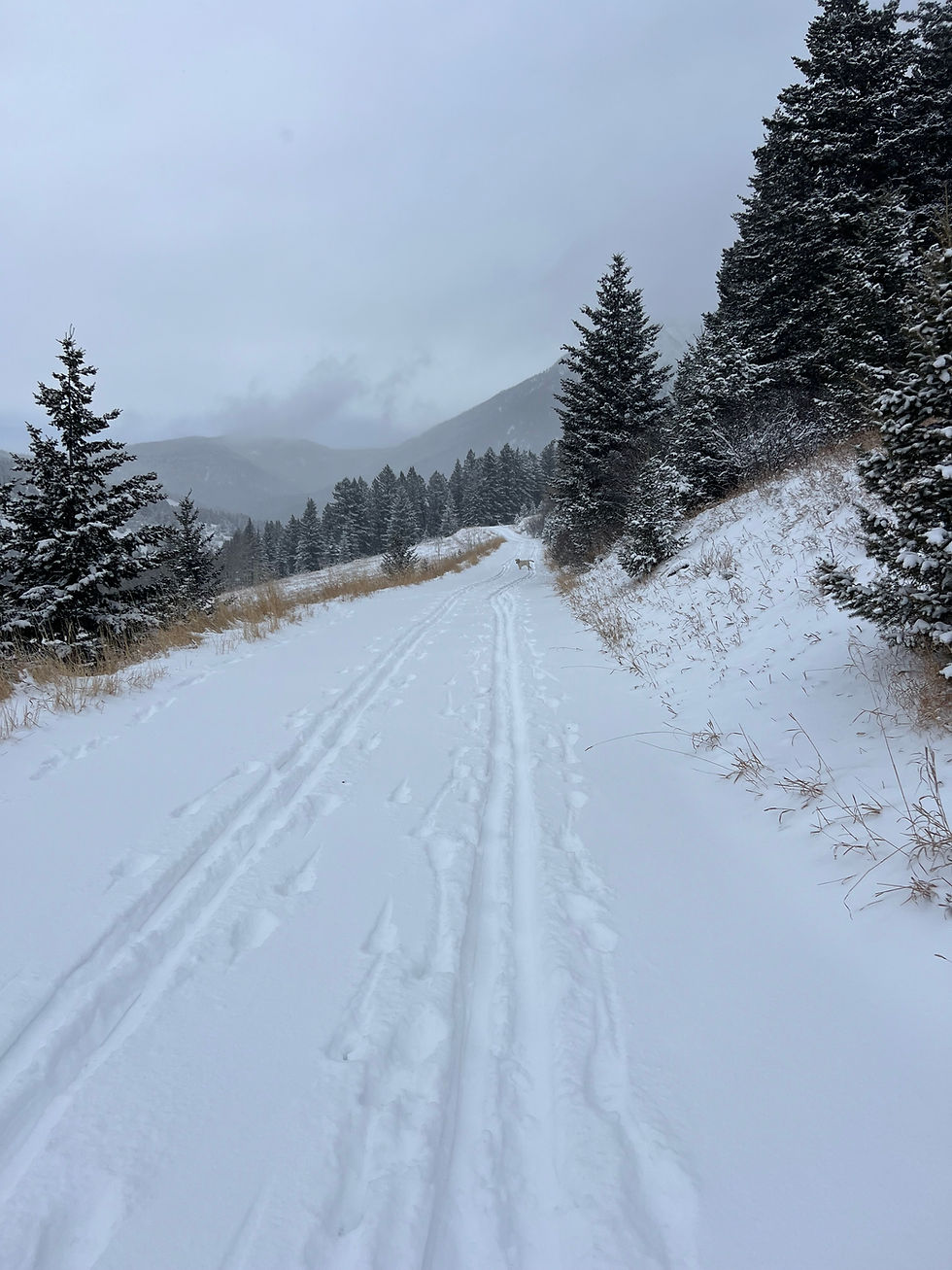 ski time.jpeg