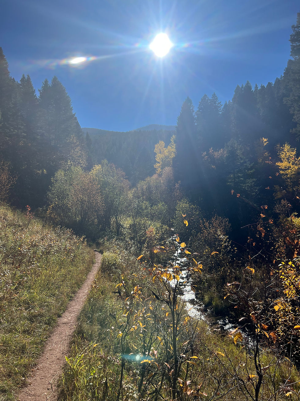 Mountain trails