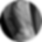 image2.png