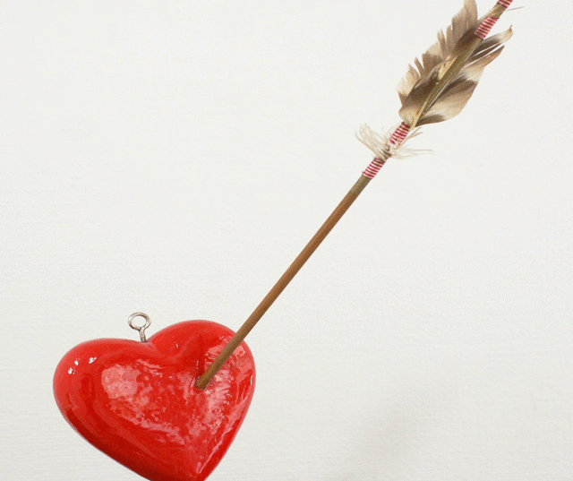 Shoot the heart : Shoko Fujimori
