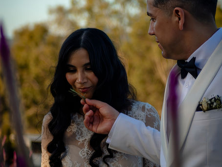 Top Brisbane Wedding Venues