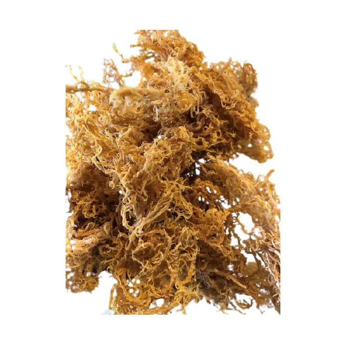 GoId sea moss