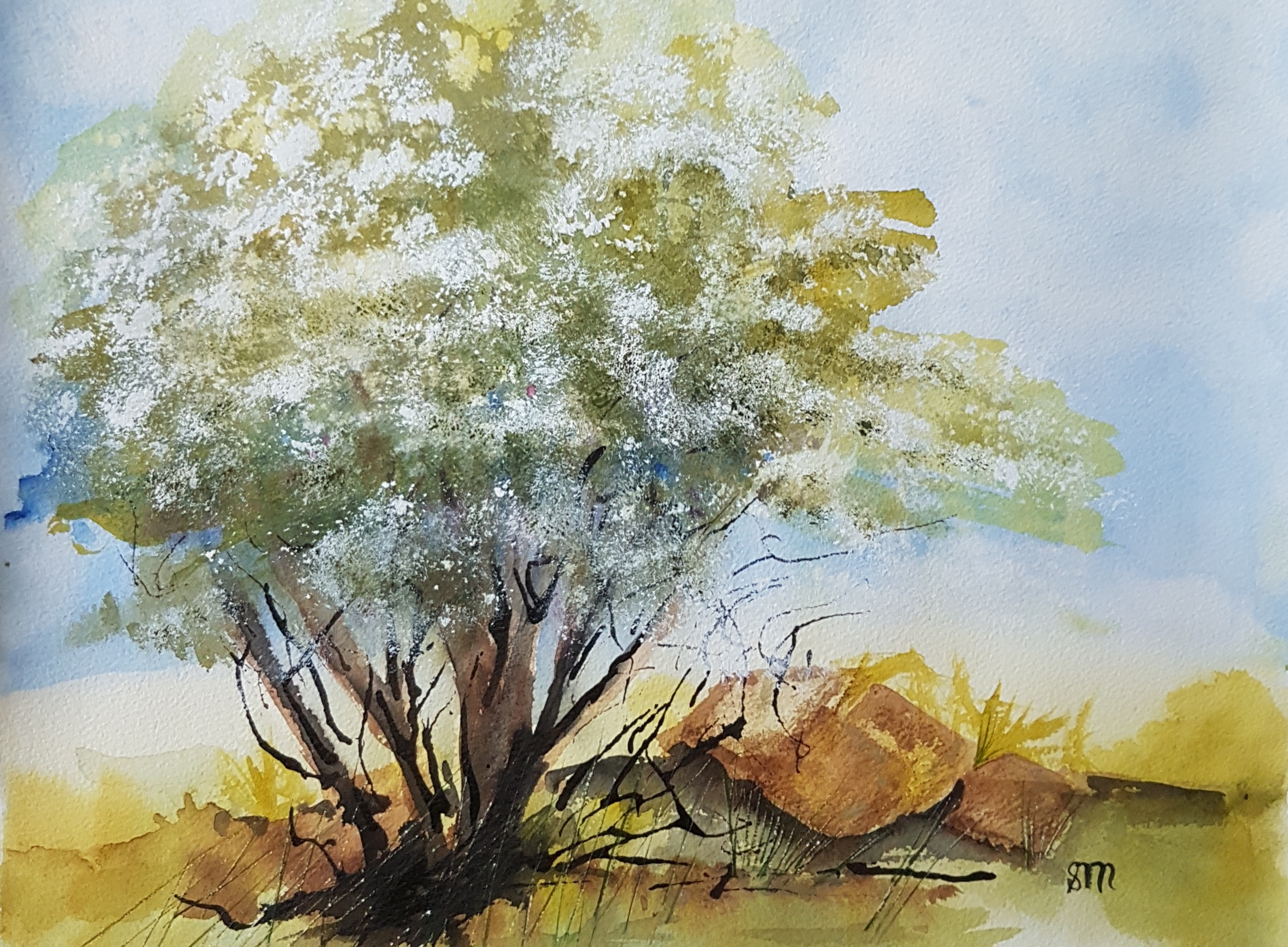 Blossom Tree