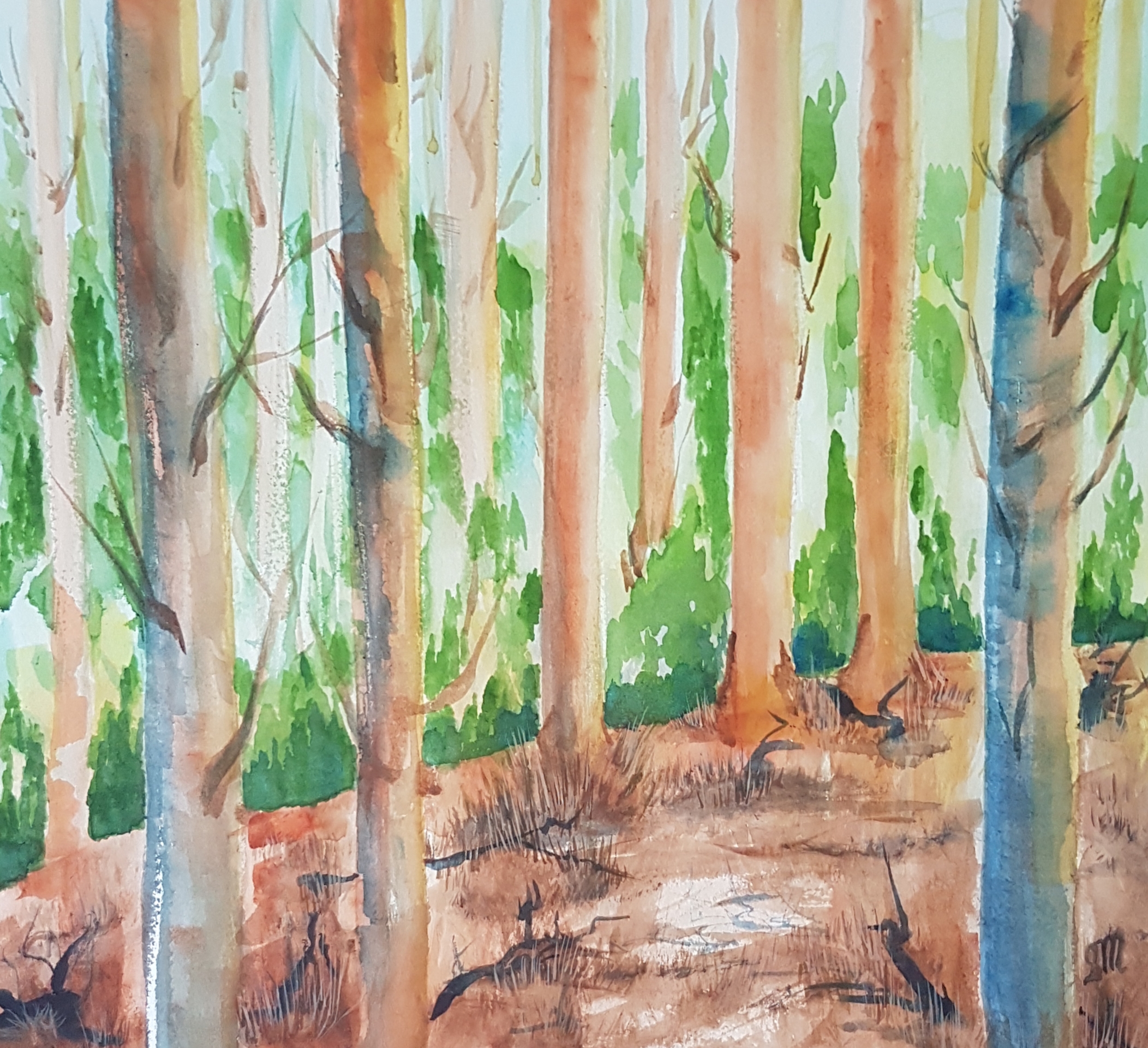 Bushland