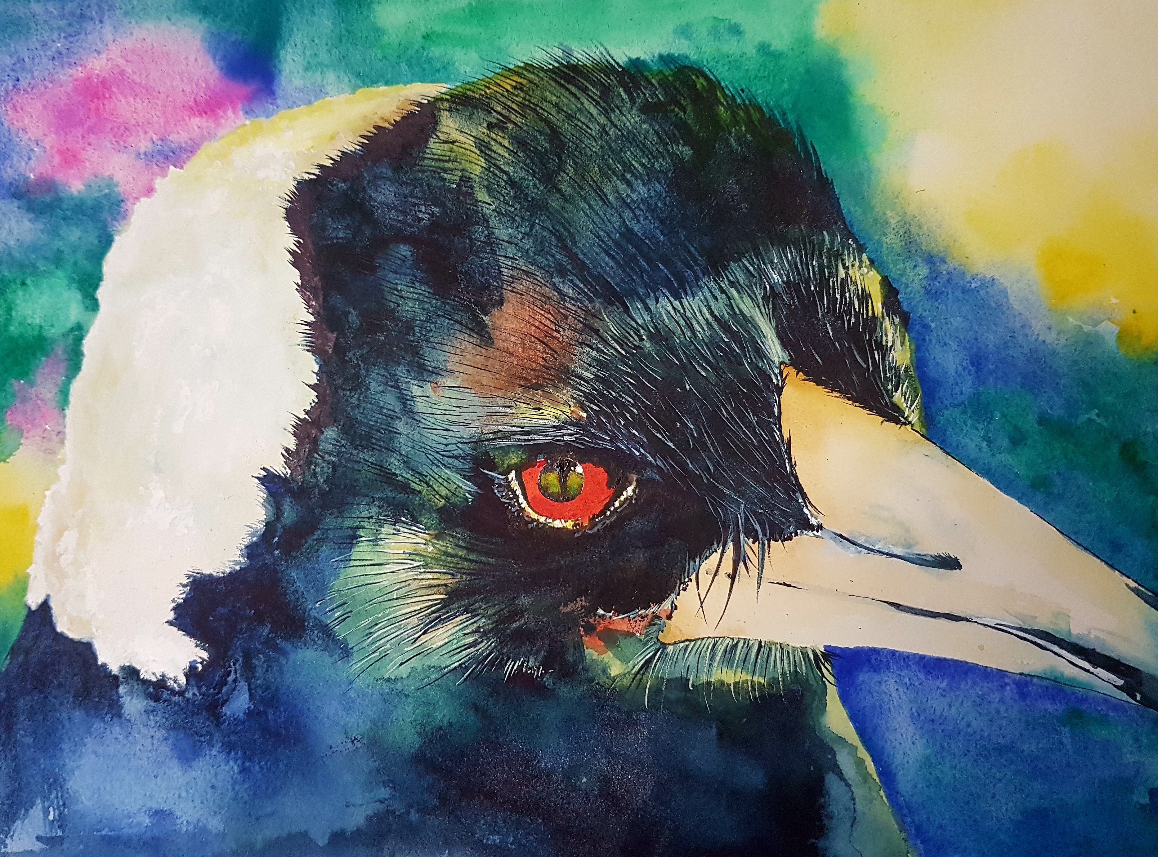 Maggie Magpie