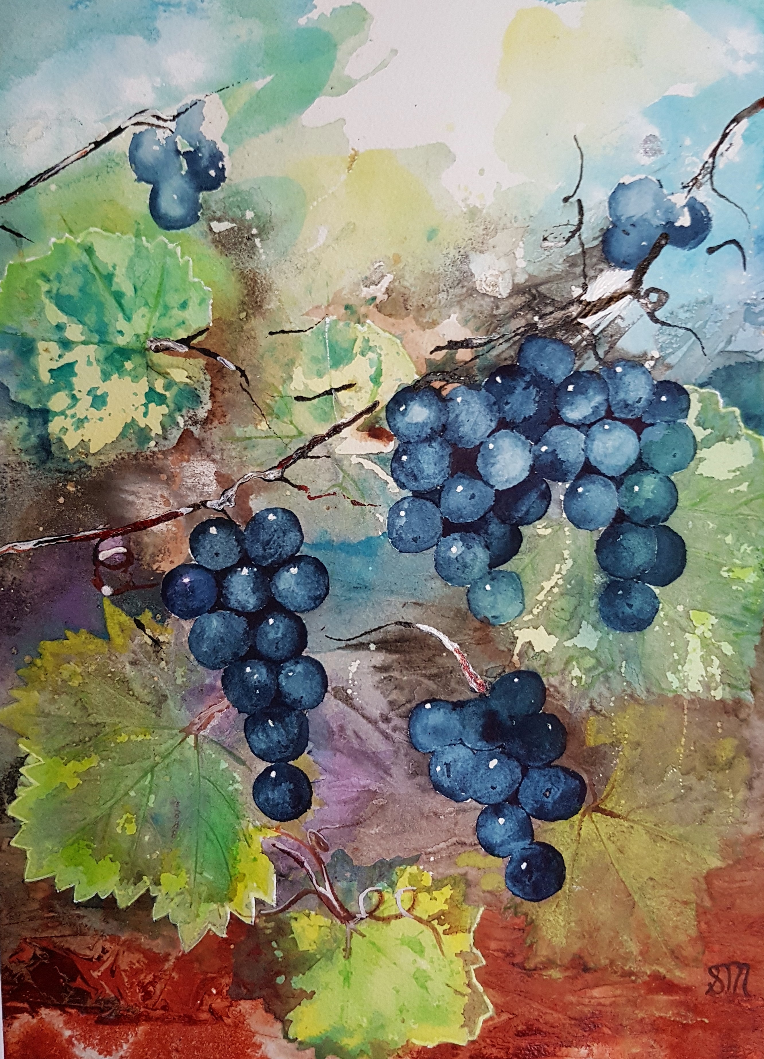 Black Grapes in Season