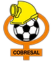 CD_Cobresal.png