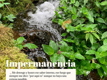 Impermanencia