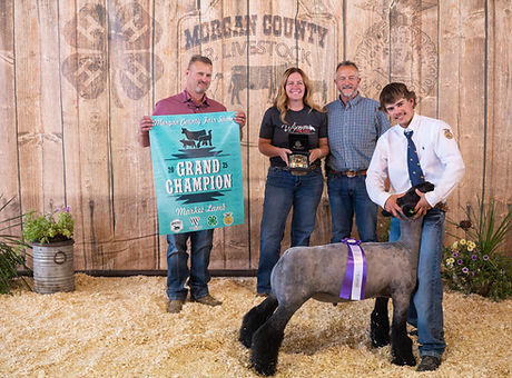 GC Lamb 25.jpg