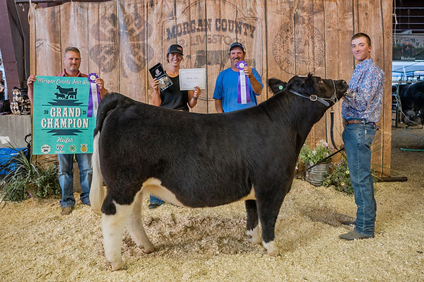 GC Heifer 25.jpg