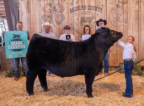 GC Beef 25.jpg