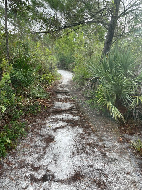 Spruce Bluff Preserve Hike