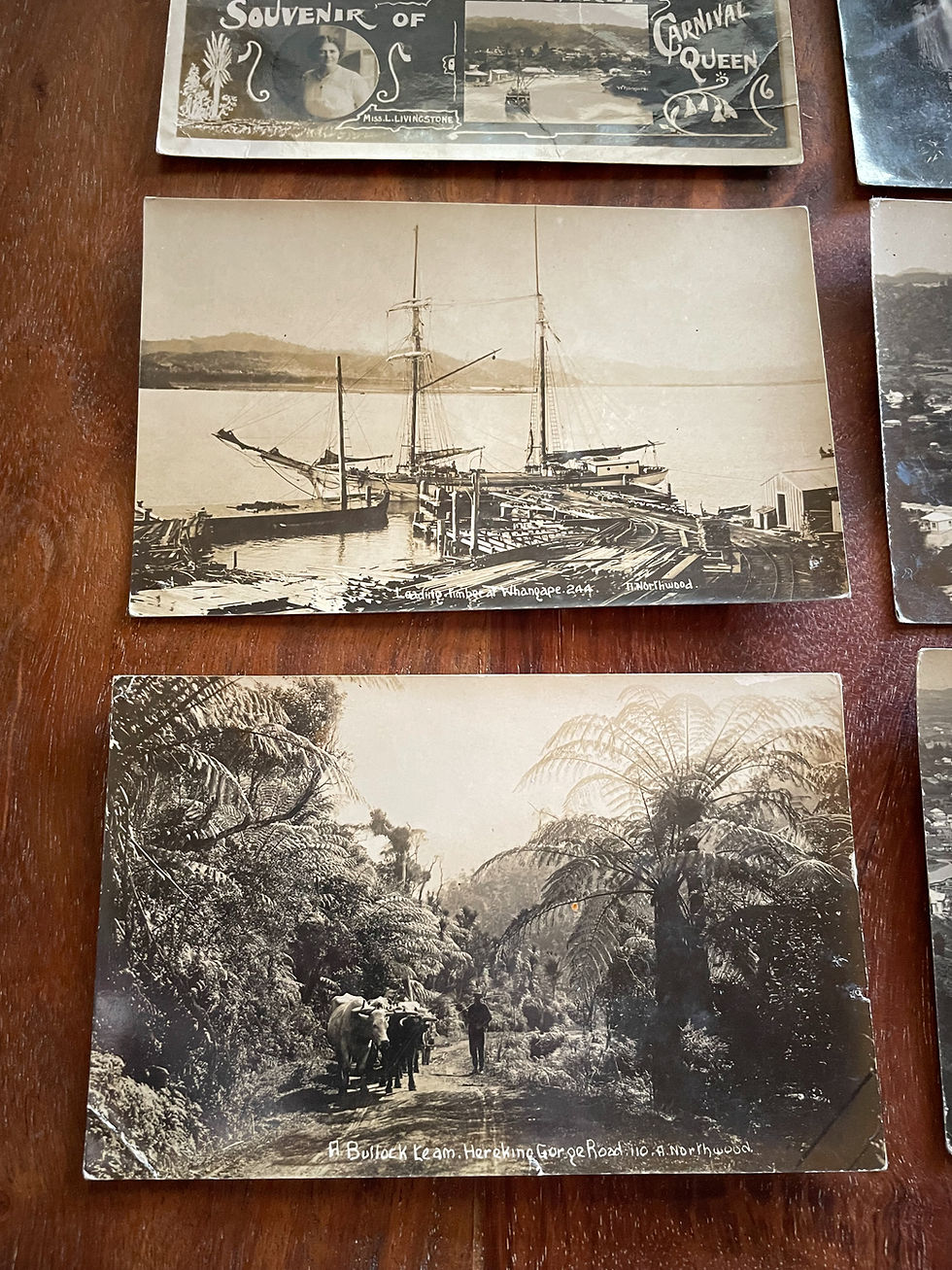 Thumbnail: Vintage New Zealand Postcards