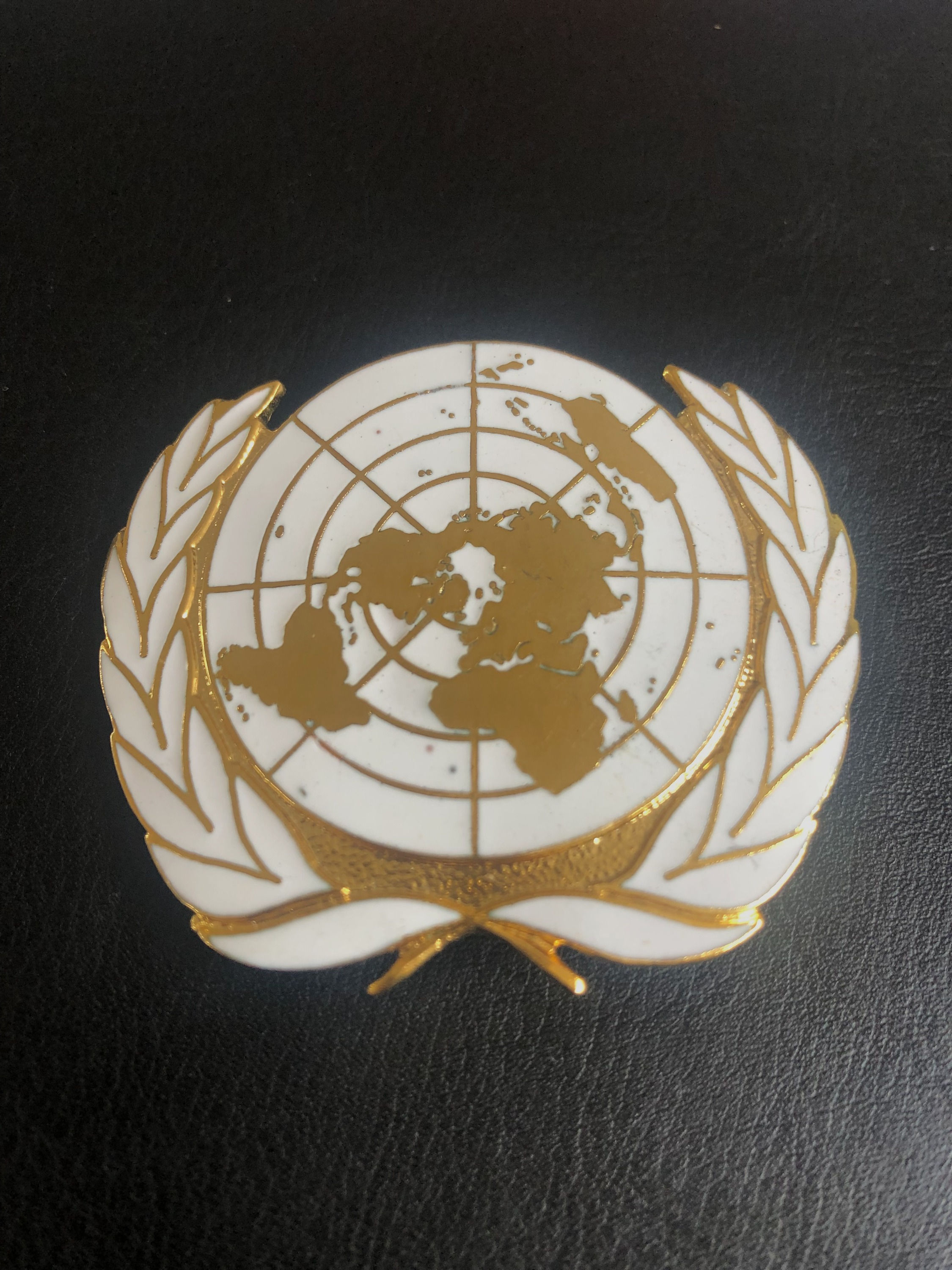 united nations cap badge white enamel