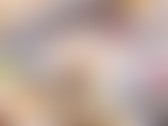 HONEY Lime Chicken Enchiladas 