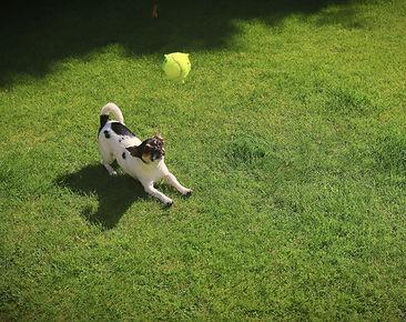 IMG_3527_edited_edited.jpg