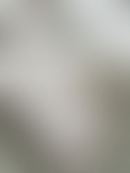 What Is a Custom Wedding Website — and Is It Worth It?