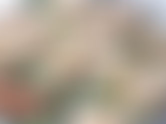 Why Cobalt Manor’s Café is the Perfect Spot for Pre-Wedding Brunches for Newark Couples