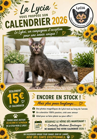pubcalendrier.jpg
