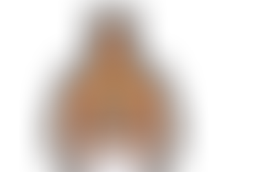 ぶれ