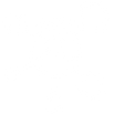 Network icon (1).png