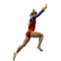 Untitled design (17).png