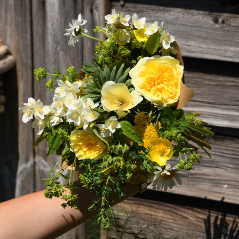 Pilgrim rose, eschscholzia, philadelphus, euphorbia, and leucanthemum.
