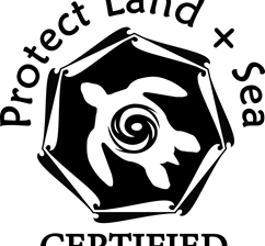 Reef Safe Sunscreen - Enjoy nature while respecting it!