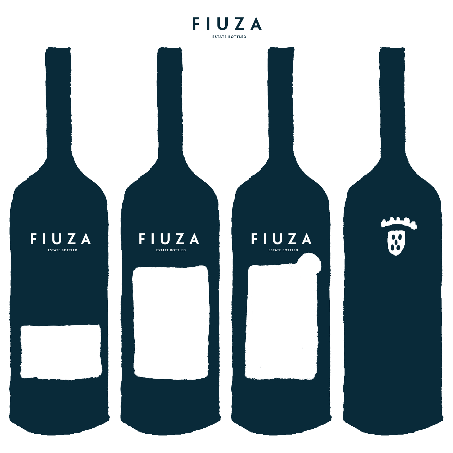 Redes Socias - Fiuza