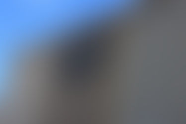 A meeting with the owner of the "Rosenbaum Contemporary" gallery Mr. Marvin Rosenbaum and