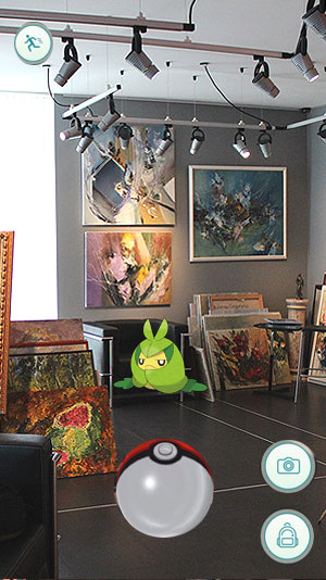 pokemon2