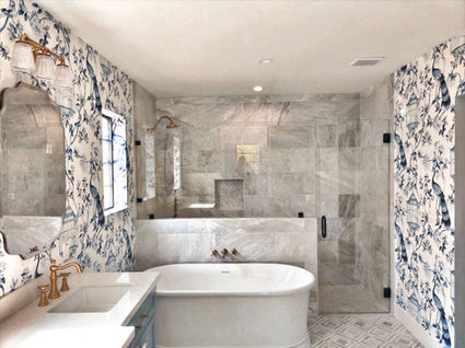 Large Shower Panel and Door