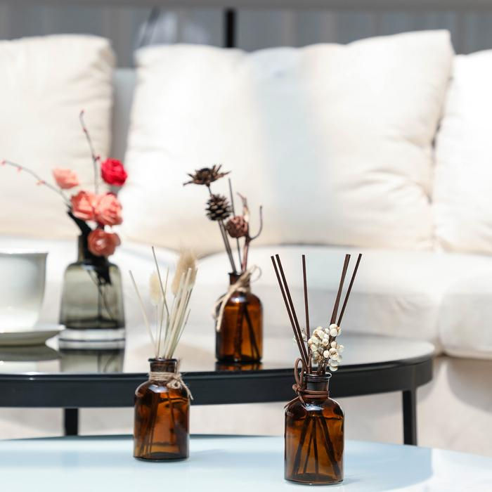 الصورة المصغرة: מפיץ ריח נורדי