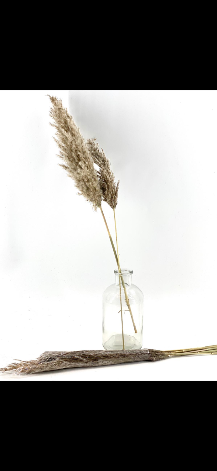 الصورة المصغرة: בקבוק שקוף