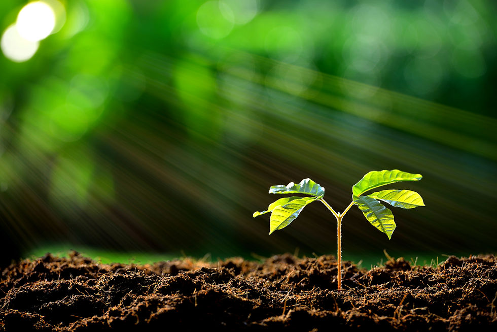 iStock-500593292_edited.jpg