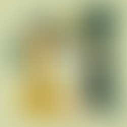 ЗКПО: Основата на данъчната грамотност