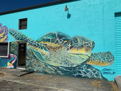 Close up Turtle Underwater Scene by DaveL 2020.