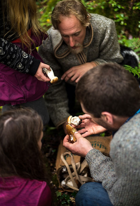 Studying mushrooms in the woods