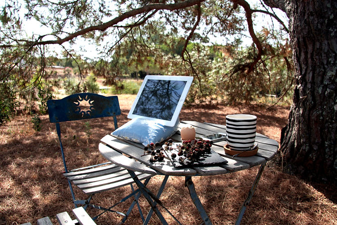 Triipi Readme Flores Almofada de Praia Livro ou Tablet