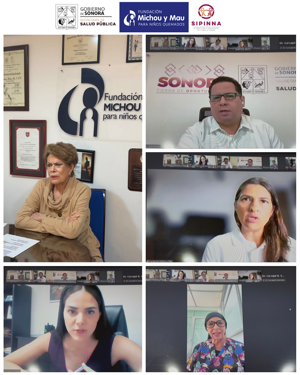 Reunión virtual con SIPINNA SONORA