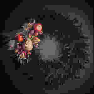 Cassandra King feather Christmas Wreath