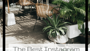 The Best Instagram accounts for Plant and Flower Lovers