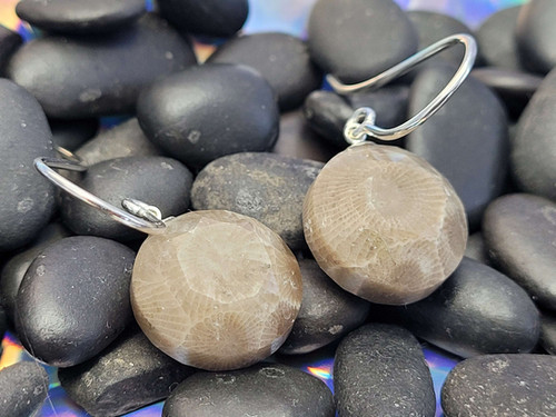 Petoskey Stone double faceted earrings jewelry-set-in-stone