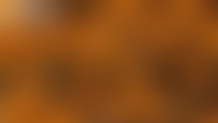 Girassóis fotografados com borrão.