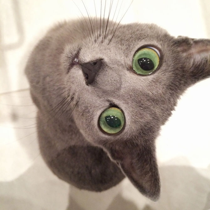 Vera is very happy being pregnant.