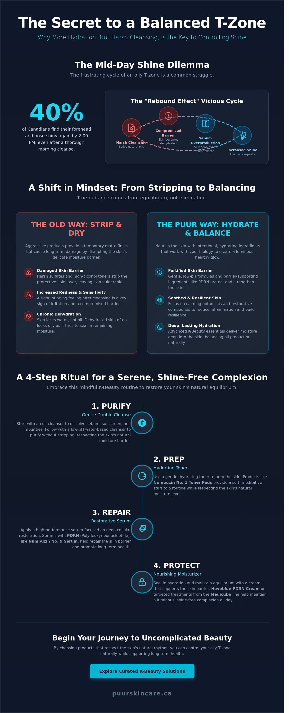 How to control oily t-zone naturally