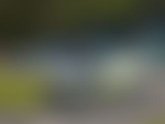 Nabitý program Filipa Kohna: Jízda s prezidentem a příprava na Český Krumlov